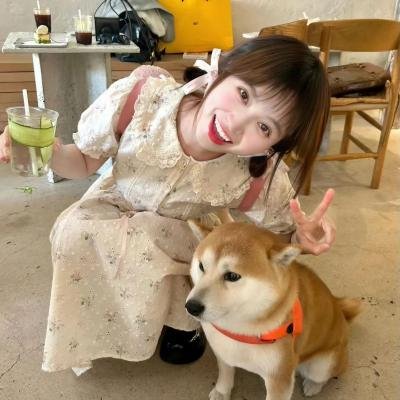 白雪公主之矮人力量